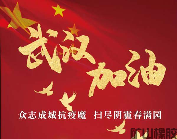 齊心協力，共抗疫情——遠程指導安裝橡膠襯板(圖1)